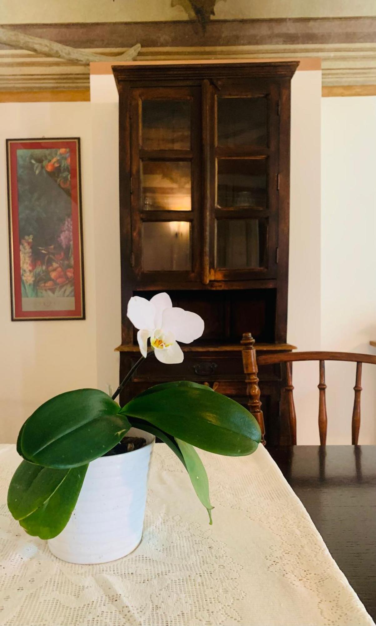 Appartement Cascina Ambrosia Residenza D'Epoca à Asti Extérieur photo
